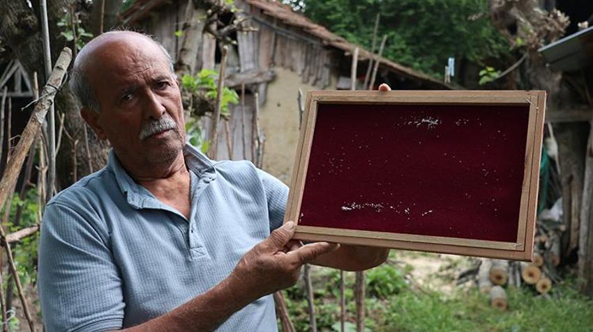 Sakaryalı karı koca 35 günde servet kazanıyorlar! Ata mirasını devraldılar: Ölene kadar devam!