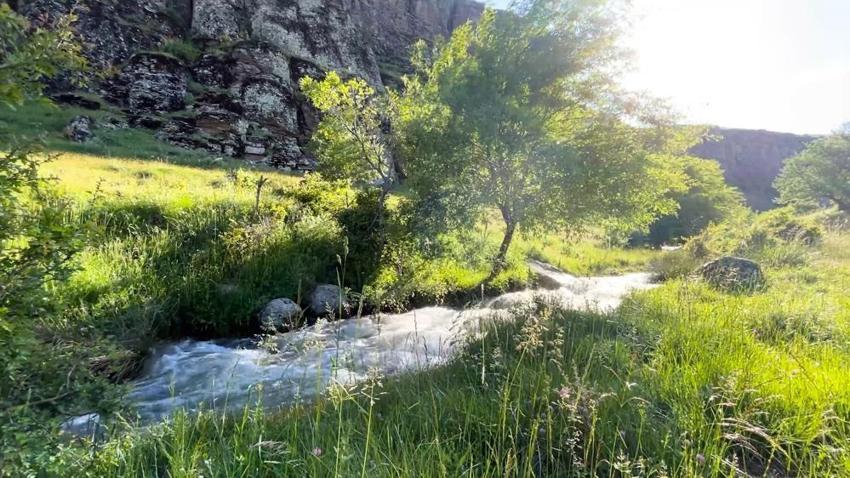 Niğde'de doğaseverlerin yeni gözdesi oldu: Adeta doğal bir terapi merkezi!