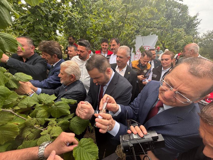 Trabzon'da doğal ordu göreve başladı! Kahverengi kokarcaya karşı Samuray Arısı salımı gerçekleştirildi