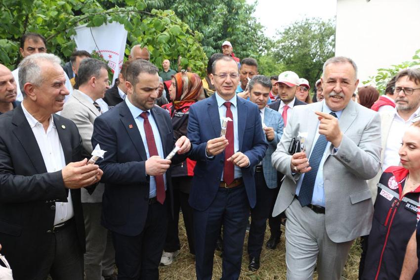 Trabzon'da doğal ordu göreve başladı! Kahverengi kokarcaya karşı Samuray Arısı salımı gerçekleştirildi