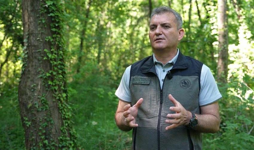 Muğla'da sığla yağı ve sığla buhuru için 2026 yılı üretim sezonu başladı