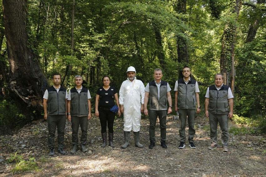 Muğla'da sığla yağı ve sığla buhuru için 2026 yılı üretim sezonu başladı
