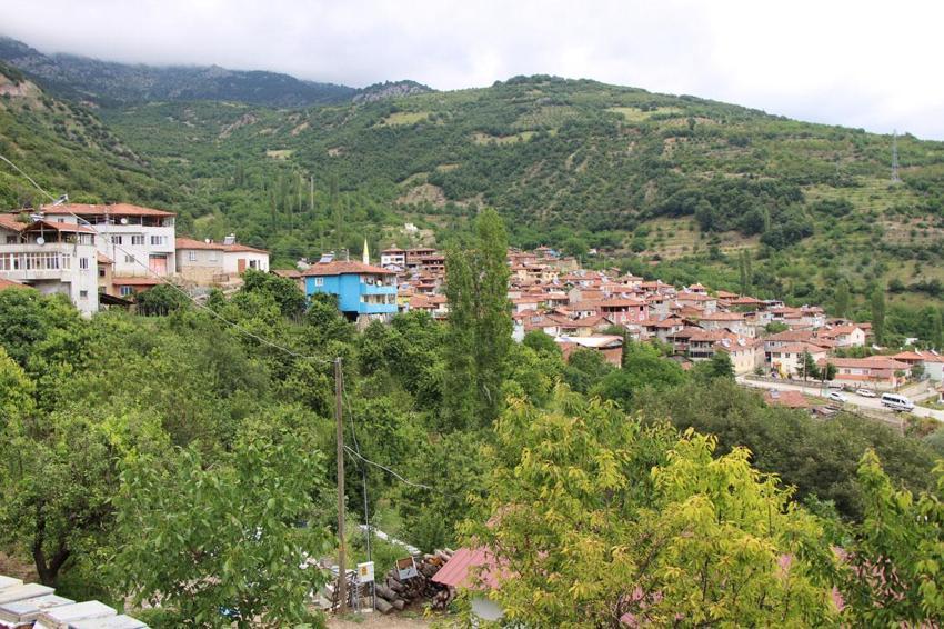 Amasya kirazı lezzetli ve kaliteli, bu yıl 50 bin ton rekolte bekleniyor