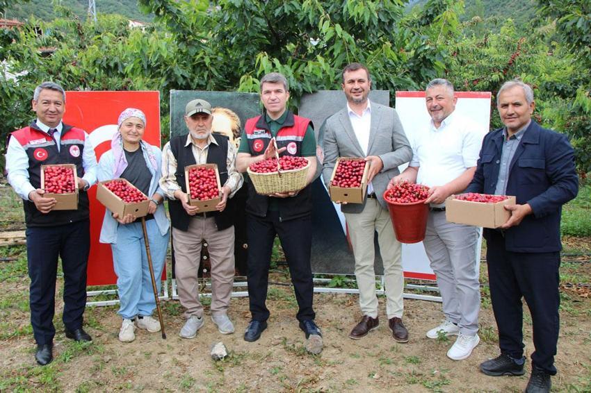 Amasya kirazı lezzetli ve kaliteli, bu yıl 50 bin ton rekolte bekleniyor