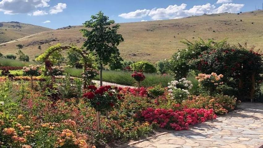 Konya'da herkesin huzur bulduğu nokta: Bin 300 metre yüksekte yer alıyor