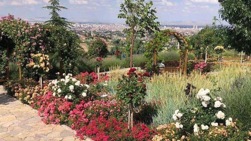 Konya'da herkesin huzur bulduğu nokta: Bin 300 metre yüksekte yer alıyor