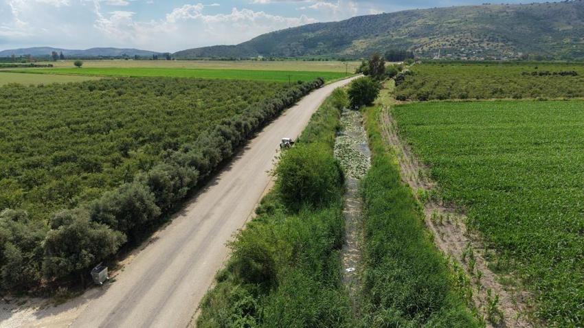 Kozan'da nilüferler açtı: Adana'da eşsiz manzara büyülüyor