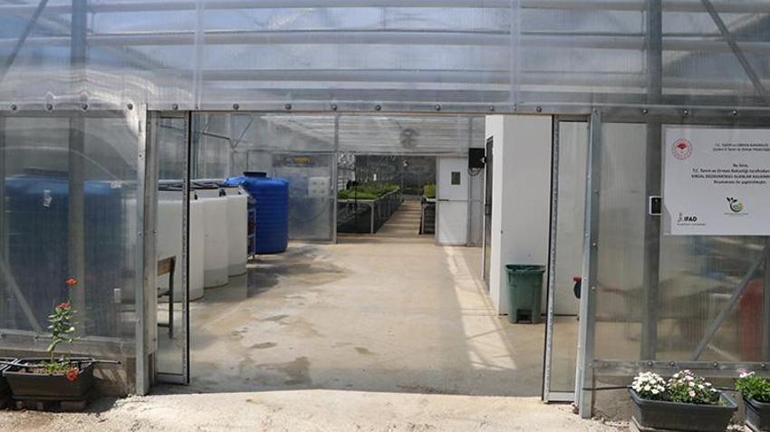 Çankırı'da hava durumunu tahmin eden akıllı sera kuruldu! Liseliler Siparişlere yetişemiyor, piyasaya kafa tutuyorlar