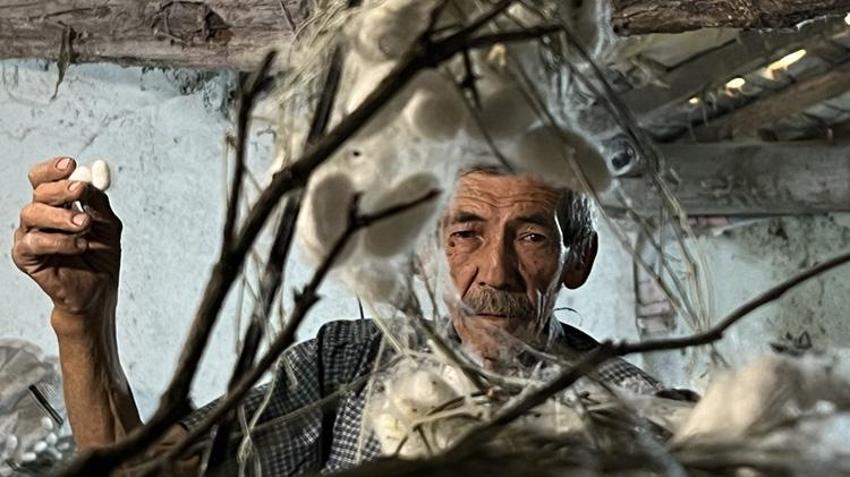 Dedesinden öğrendi, evinin altını üretim alanına çevirdi: 40 günde tam 216 bin TL kazanıyor!