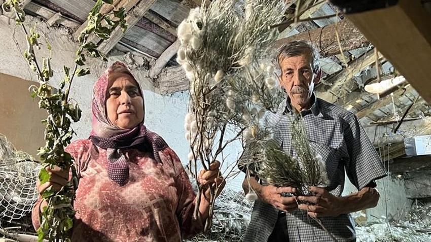 Dedesinden öğrendi, evinin altını üretim alanına çevirdi: 40 günde tam 216 bin TL kazanıyor!