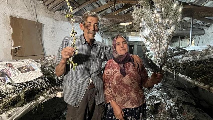 Dedesinden öğrendi, evinin altını üretim alanına çevirdi: 40 günde tam 216 bin TL kazanıyor!