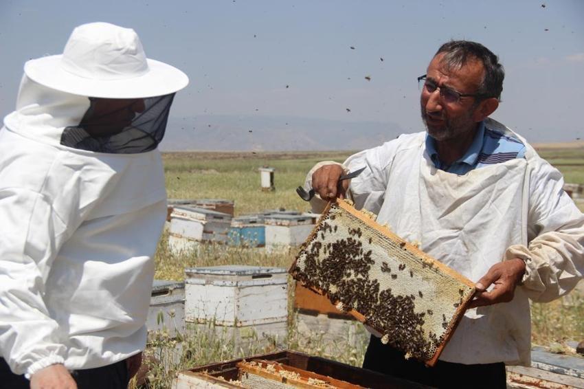50 yıl önce keşfedilen o dağdan şifa fışkırıyor! Aynı aile 3 kuşaktır aynı işi yapıyor: Laboratuvar sonuçları şoke etti, tamamen şekersiz