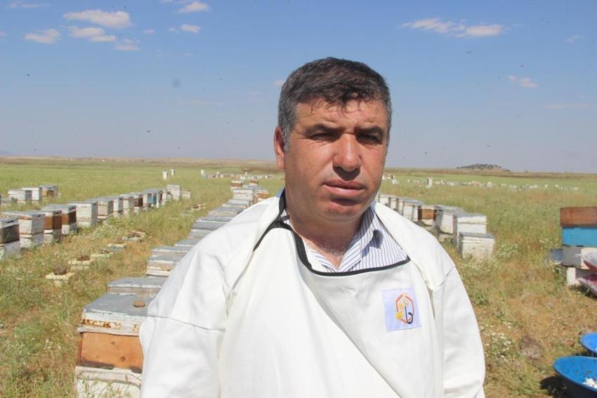 50 yıl önce keşfedilen o dağdan şifa fışkırıyor! Aynı aile 3 kuşaktır aynı işi yapıyor: Laboratuvar sonuçları şoke etti, tamamen şekersiz