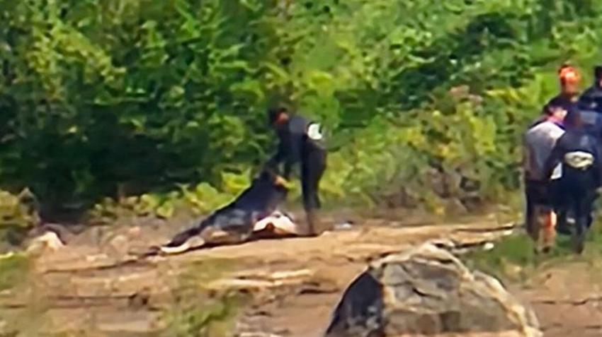 Adana'da serinlemek için girdiği çayda kaybolan Ömer'in cansız bedenine ulaşıldı