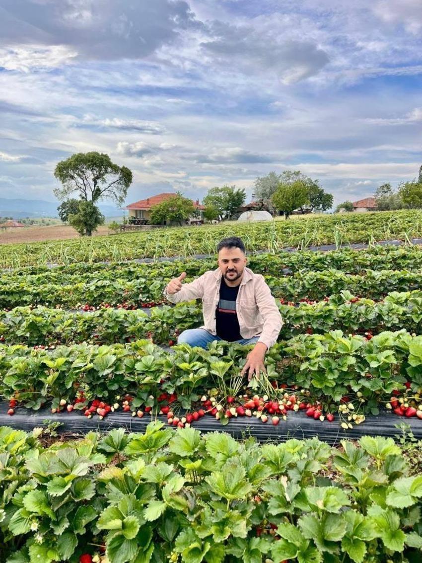 Manisa'da yetişiyor! Doğal aromasıyla fark yaratıyor: Sağlıklı beslenmek isteyenlerin yeni gözdesi