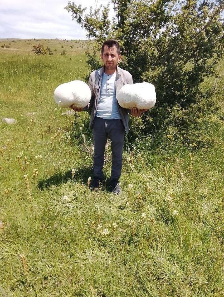 Doğada bulduğu 20 kiloluk dev mantar görenleri hayrete düşürdü