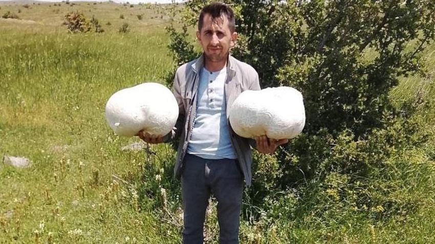 Doğada bulduğu 20 kiloluk dev mantar görenleri hayrete düşürdü