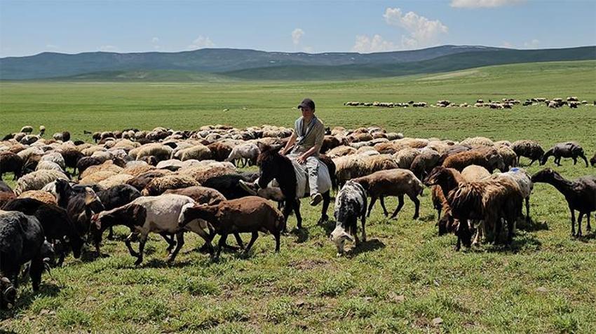 Bitlis'te hareketlilik başladı! Van Gölü kıyısından 2 bin rakıma büyük kaçış...