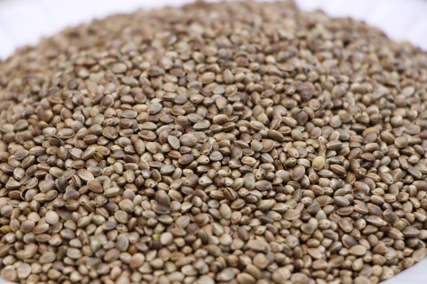 40 yıllık atıl fabrikada üretim başladı! Etten daha çok protein içeriyor: Çürümeye terk edilmişti, şimdi siparişlere yetişemiyor!