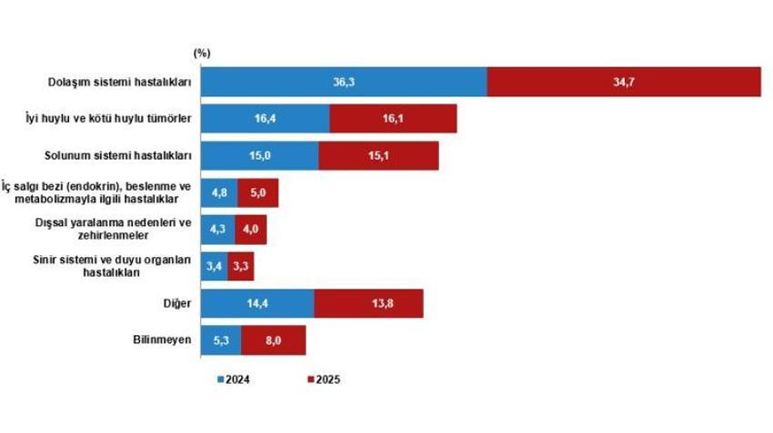 Bursa için korkutan rapor! Türkiye ortalamasını geçti: Her 10 ölümden 4'ü bu yüzden!