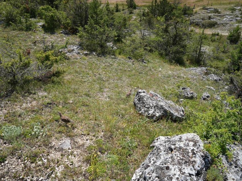 Samsun'da altyapı devrimi! 200 milyon liralık dev yatırımla 130 kilometre yol tamamlandı