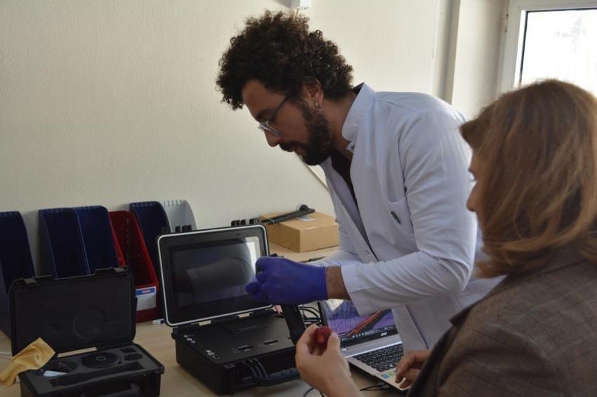 Adana'da süper çilek üretildi: Çukurova Üniversitesi'nde geliştirildi