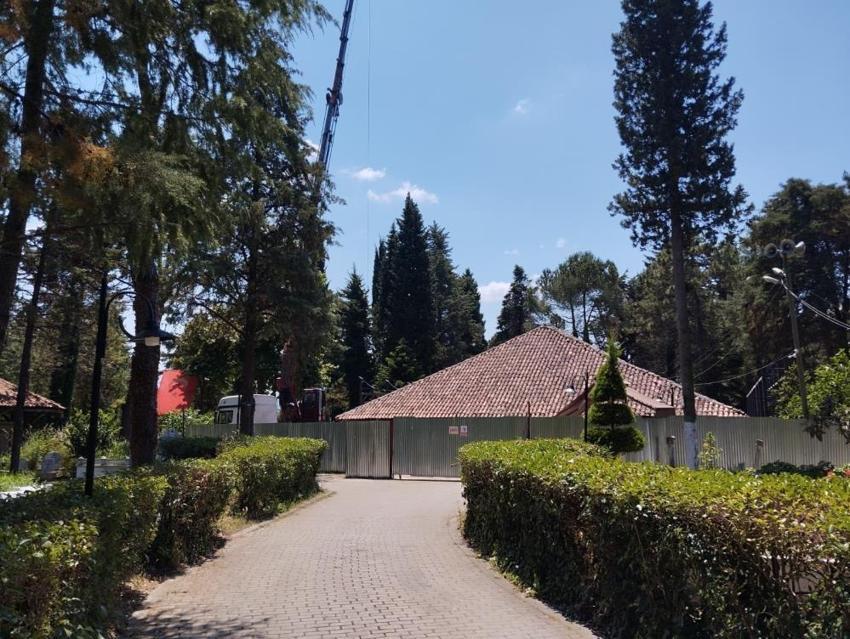 800 yıllık tarihi cami UNESCO yolunda! Samsun'da restorasyon başladı