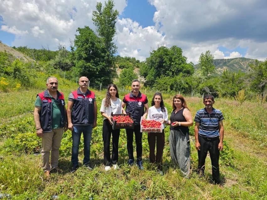 Tunceli'de kadın çiftçiler başardı! Bu proje tüm bölgenin yeni gelir kapısı oldu