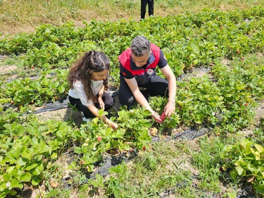 Tunceli'de kadın çiftçiler başardı! Bu proje tüm bölgenin yeni gelir kapısı oldu