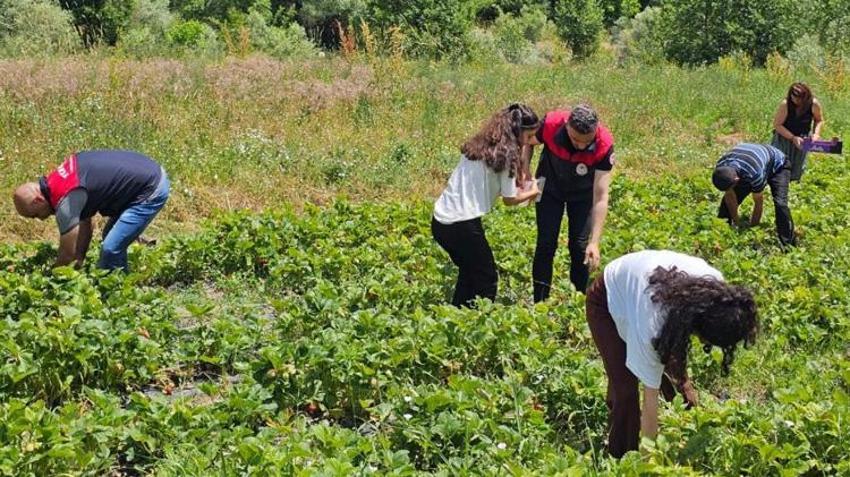 Tunceli'de kadın çiftçiler başardı! Bu proje tüm bölgenin yeni gelir kapısı oldu