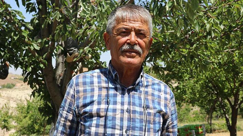 Malatya'da toprağın altından değil daldan altın fışkırıyor! Avrupa ülkeleri sıraya girdi: 1100 tonluk dev rekolte yüzleri güldürdü
