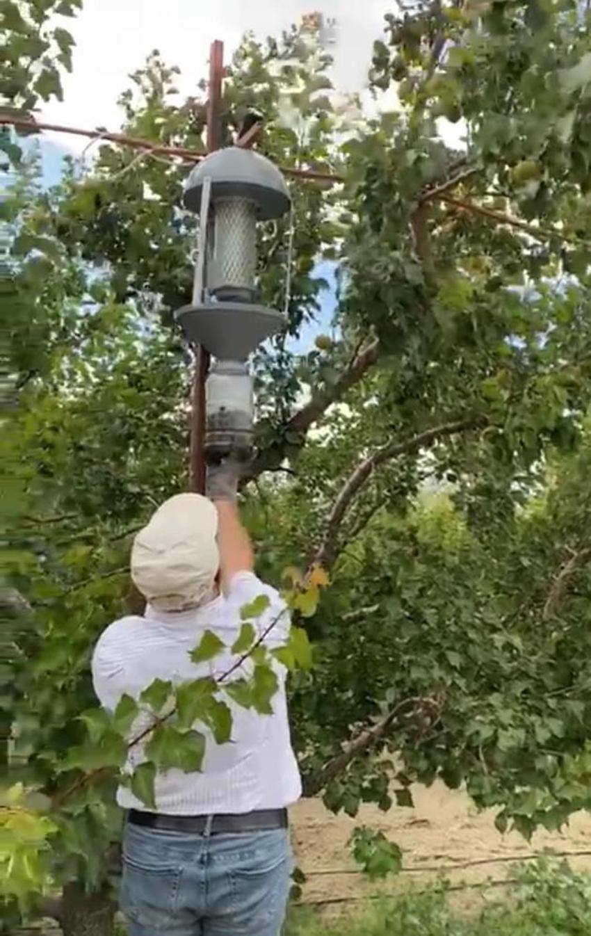 Antalya'da geliştirildi, tüm Türkiye’ye yayılıyor: Sıfır kimyasalla üretim başladı!
