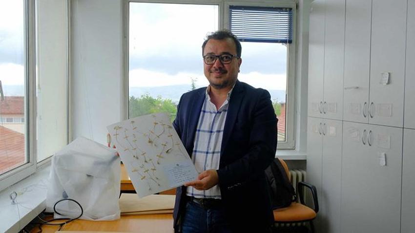Anadolu Üniversitesi açıkladı: Türkiye'ye özgü 2 yeni endemik yabani soğan türü keşfedildi!