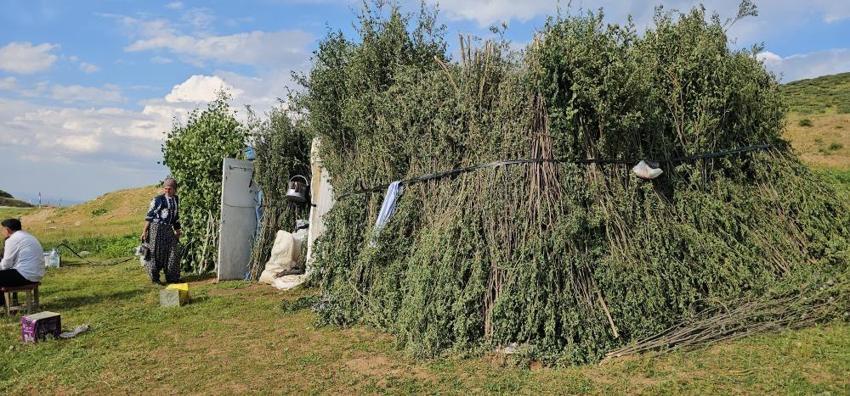 Muş'ta yayla sezonu başladı! 2 bin rakımda doğal üretim mesaisi başladı