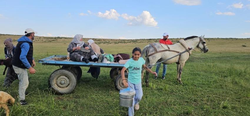 Muş'ta yayla sezonu başladı! 2 bin rakımda doğal üretim mesaisi başladı