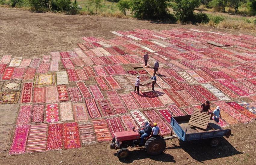Antalya'da 100 dönümlük devasa 'halı tarlaları' açıldı: 5 bine yakın asırlık halı güneş banyosuna bırakıldı! 'Kışın ekmeği, yazın rengi çıkıyor'