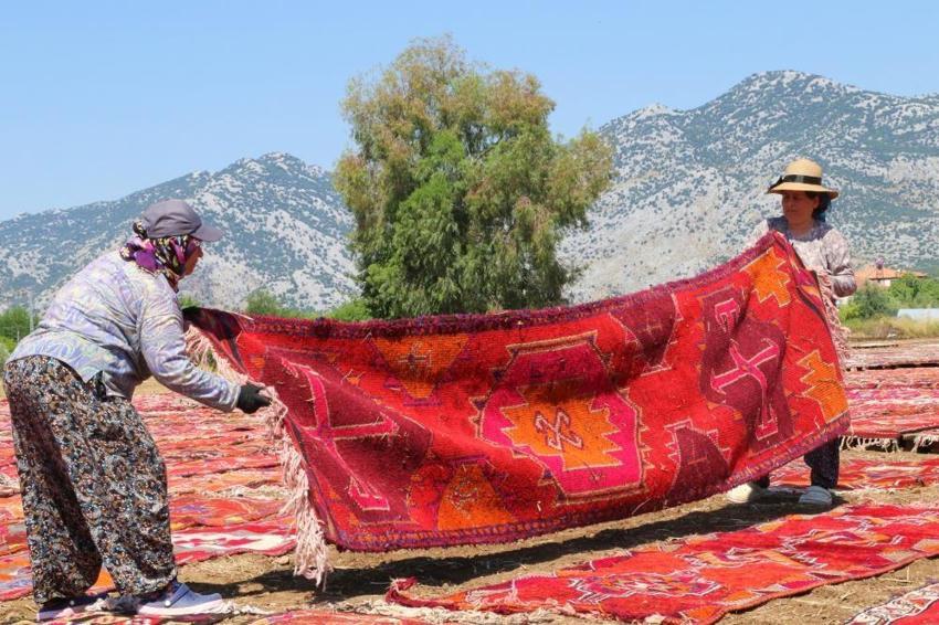 Antalya'da 100 dönümlük devasa 'halı tarlaları' açıldı: 5 bine yakın asırlık halı güneş banyosuna bırakıldı! 'Kışın ekmeği, yazın rengi çıkıyor'