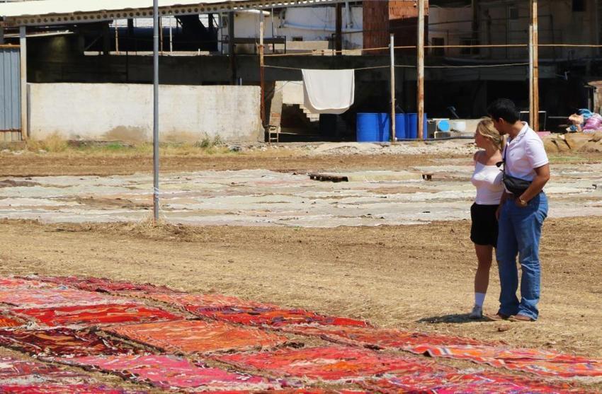 Antalya'da 100 dönümlük devasa 'halı tarlaları' açıldı: 5 bine yakın asırlık halı güneş banyosuna bırakıldı! 'Kışın ekmeği, yazın rengi çıkıyor'