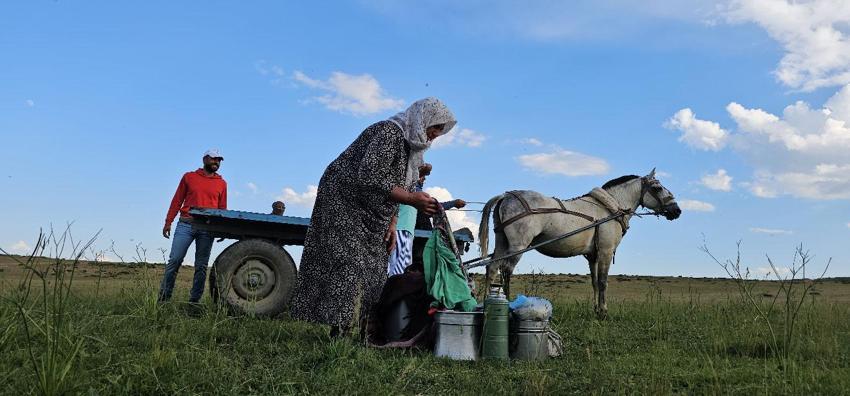 Lezzetli ve kaliteli sütün sırrı bu dağlarda saklı! Muş'ta yayla mesaisi başladı