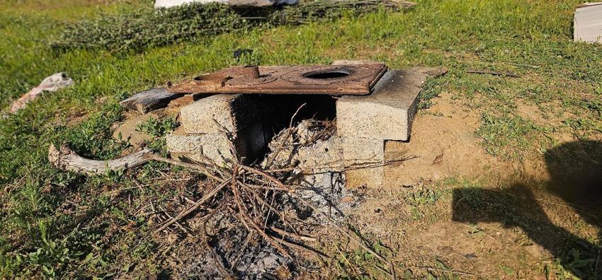 Lezzetli ve kaliteli sütün sırrı bu dağlarda saklı! Muş'ta yayla mesaisi başladı