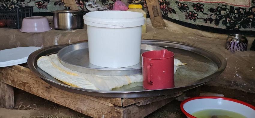 Lezzetli ve kaliteli sütün sırrı bu dağlarda saklı! Muş'ta yayla mesaisi başladı