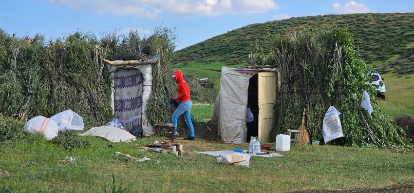 Lezzetli ve kaliteli sütün sırrı bu dağlarda saklı! Muş'ta yayla mesaisi başladı