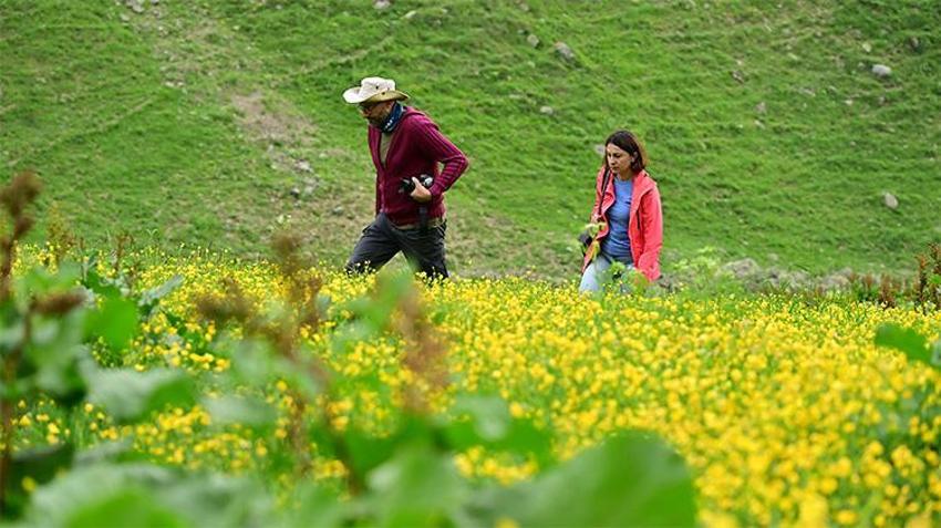 Görenler Alpler sanıyor ama burası Karadeniz! Gümüşhane'nin saklı cenneti hayran bırakıyor
