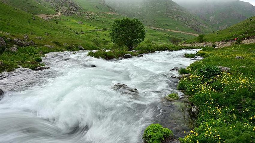 Görenler Alpler sanıyor ama burası Karadeniz! Gümüşhane'nin saklı cenneti hayran bırakıyor