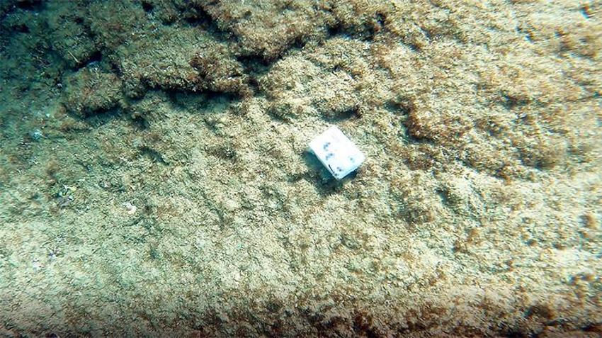 Denizden vesikalık fotoğraflı büyü malzemeleri çıkardı, sosyal medyadan paylaşınca hayatı alt üst oldu