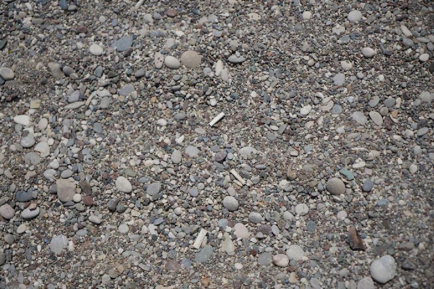 Antalya plajlarında profesörü isyan ettiren görüntü: Metrekarede belki yüze yakın sigara izmariti var