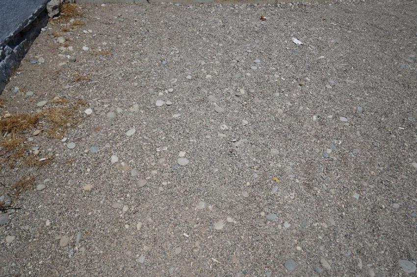 Antalya plajlarında profesörü isyan ettiren görüntü: Metrekarede belki yüze yakın sigara izmariti var