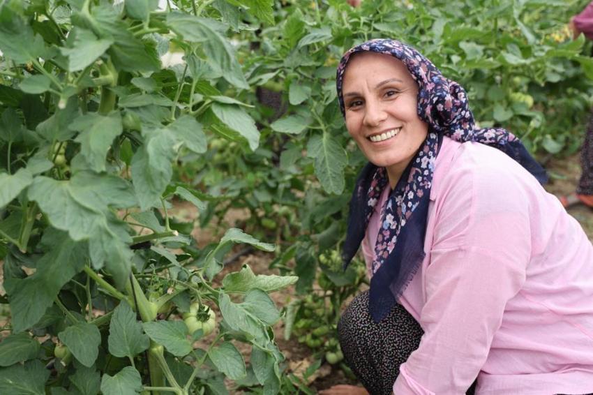 %50 hibe desteğini alan 5 kadın el ele verdi, Toroslar'ın dağ köyünde milyonluk gelir kapısı kuruldu: Susuz diye terk edilen çorak topraklarda siparişlere yetişemiyorlar