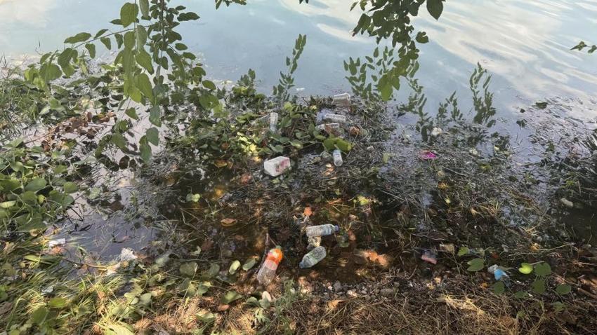 Adana'nın en gözde yerinde hijyen sıfıra düştü: Turistler gördükleri manzara karşısında şoke oldu!
