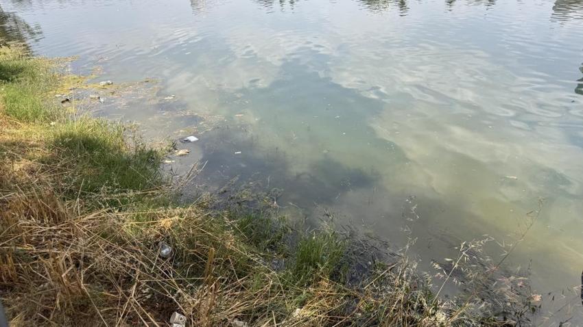 Adana'nın en gözde yerinde hijyen sıfıra düştü: Turistler gördükleri manzara karşısında şoke oldu!